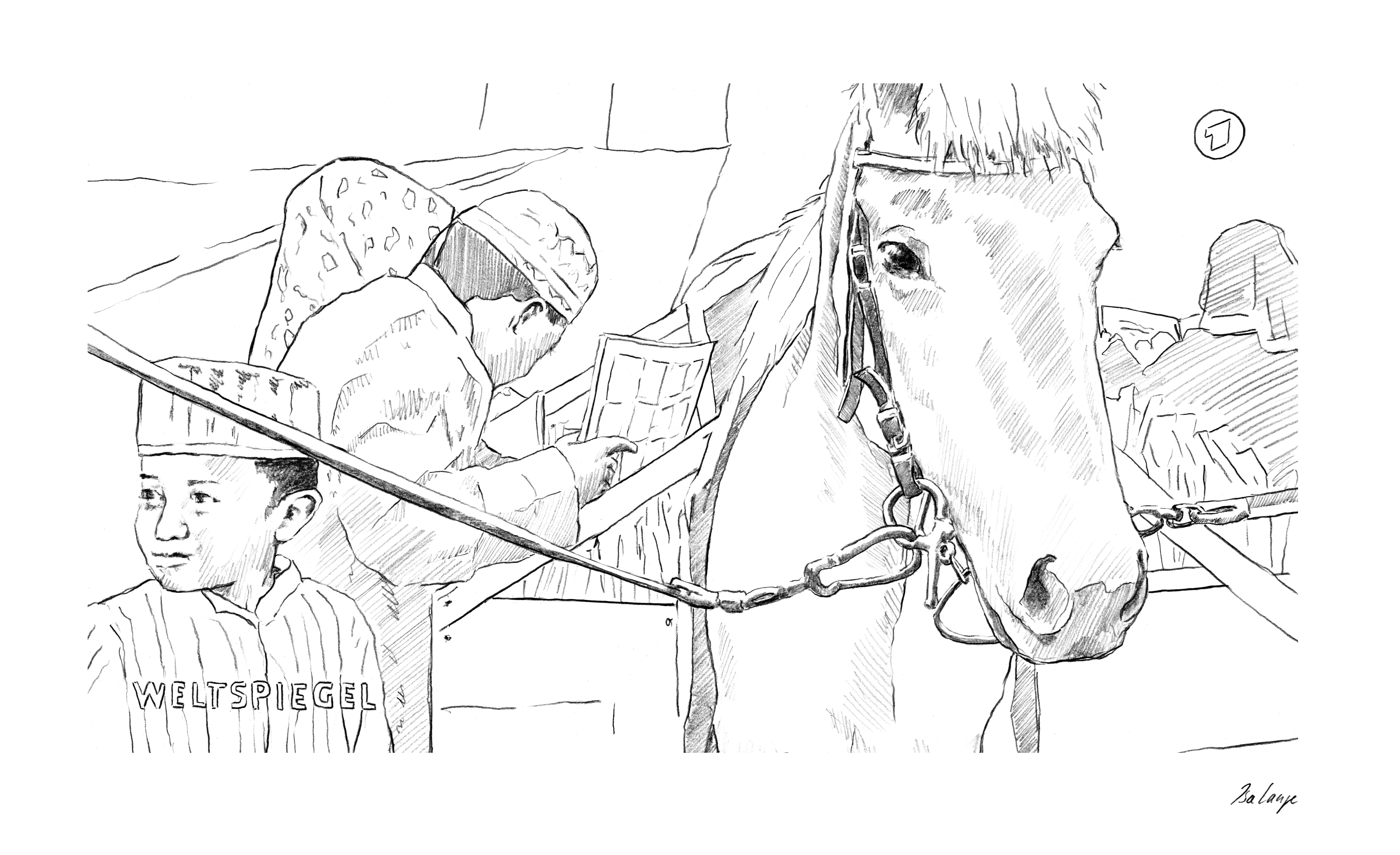 03_horse library in Indonesia_Film Philipp Abresch ARD WELTSPIEGEL_Skizze Isa Lange-WITHOUT LINES